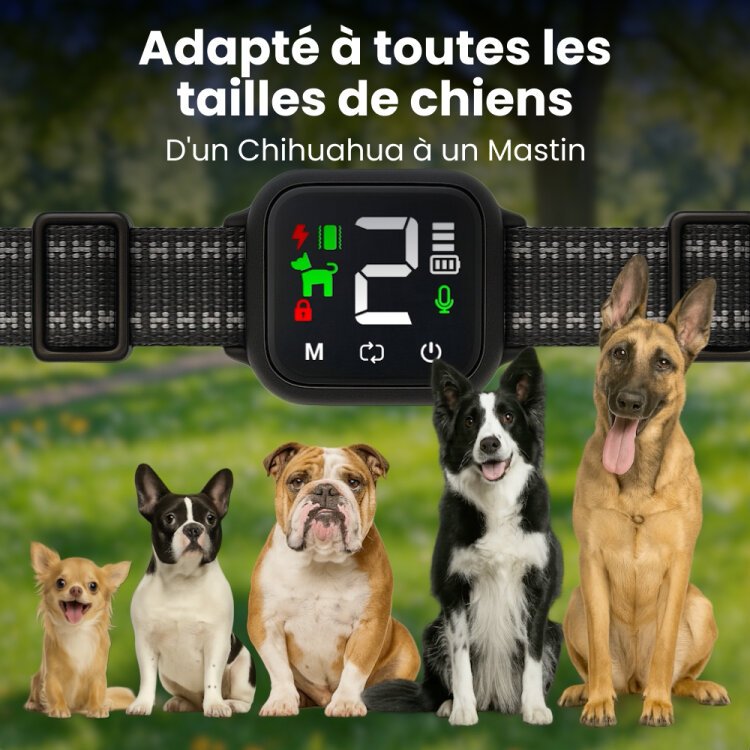 NooBark adapté à toutes les tailles de chiens, du Chihuahua au Mastiff
